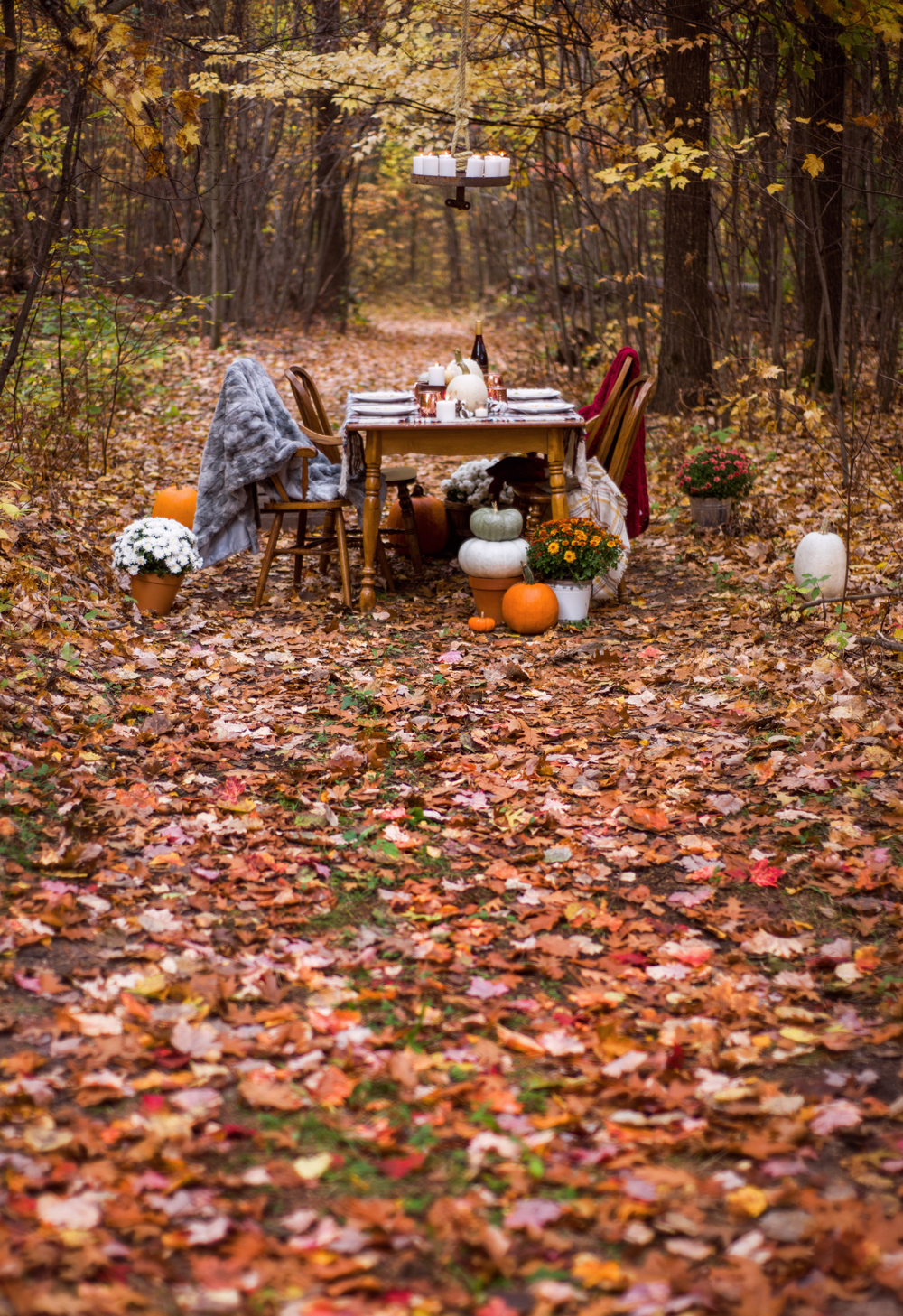 Fall Table Setting in the Woods + Mulled Wine Recipe – Charming North